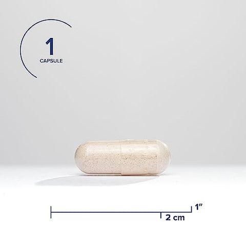 Glutationa Plus Ótimo, 100 mg S-acetil-L Glutationa com Cofatores, Suporte Imunológico e de Desintoxicação, Saúde do Fígado, Suporte Antioxidante e contra Radicais Livres, 100 g - Seeking Health