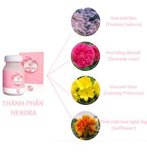 HEBORA - Produto Rosa: Batom Líquido Matte de Longa Duração – Marca X, 5ml