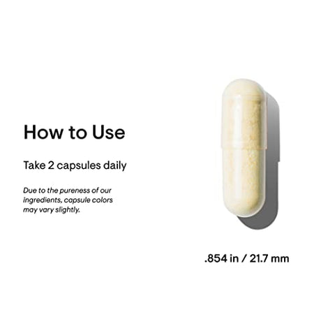 Basic Nutrients 2/Day – Multivitamínico Diário Completo com Bioacessibilidade Ótima – Fórmula de Vitaminas e Minerais – Sem Glúten, Sem Lactose, Sem Soja – 60 Cápsulas – 30 - THORNE