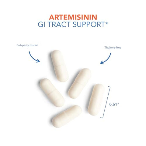 Artemisinina Allergy Research Group – Suporte para o Trato Gastrointestinal, Qinghaosu Puro de Artemisia annua, Livre de Tujona, Cápsulas Vegetarianas – 90 Unidades