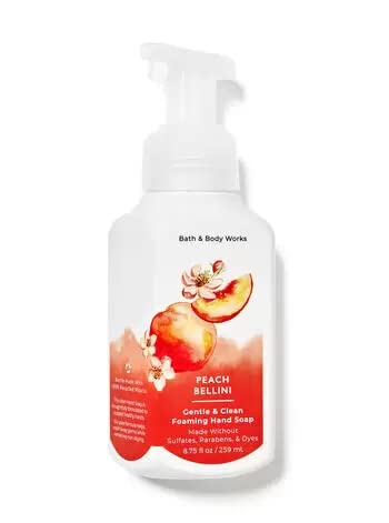 Bath & Body Works - Bath and Body Works – Conjunto de 5 Sabonetes Líquidos Espumantes (Fresh)