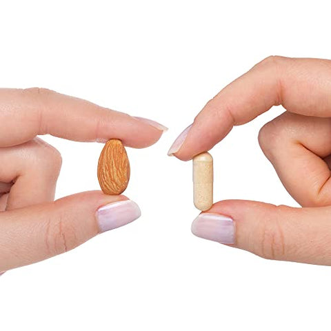 B Complex Plus – Suplemento de Vitamina B com Colina | 60 cápsulas | Marca em Destaque - Seeking Health