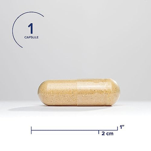 Liver Nutrients – Suporte à Produção de Glutationa e Função Celular do Fígado com Cardo Mariano e Ácido Alfa-Lipóico – 60 cápsulas - Seeking Health