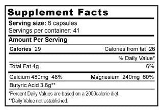 Butyrex – Suplemento Alimentar de T.E. Neesby, 600mg, 250 Cápsulas - Jigsaw Health