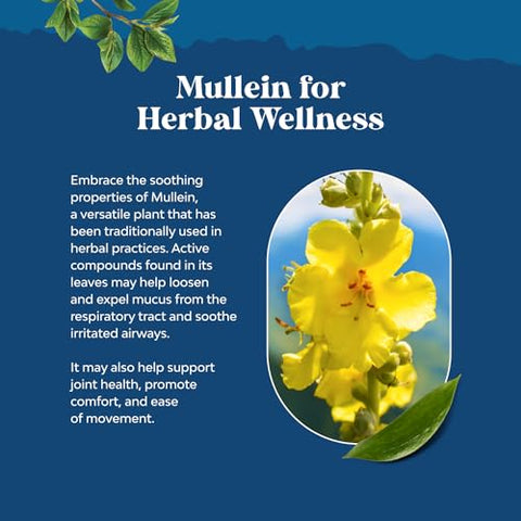 Natures Craft - Gotas de Folha de Verbasco Orgânico do USDA – Desintoxicação Pulmonar Herbal e Limpeza Raiz de Marshmallow e Tintura de Verbasco – Suplemento de Suporte Pulmonar – Suplemento Respiratório de Ervas de Folha de Verbasco