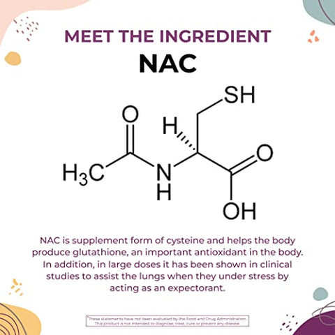 Mega NAC 600 mg com Quercetina – Suporte à Saúde Respiratória e Imunológica, Detox para Fígado e Rins – Cápsulas Vegetais (Pacote com 2) - Body Kitchen