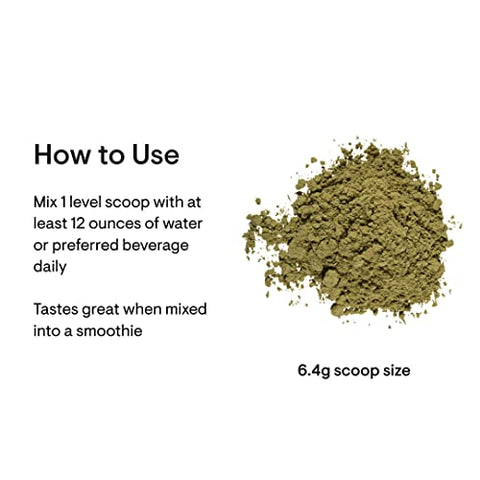 Daily Greens Plus – Pó de Verdes Completo com Matcha, Spirulina, Moringa e Adaptógenos, Cogumelo e Misturas Antioxidantes – Sabor Refrescante de Menta 200g – 30 Porções - THORNE