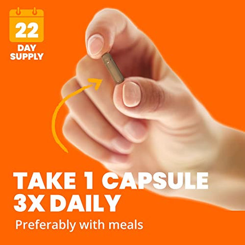 Cápsulas de Canela Sundown, Suporte ao Metabolismo do Açúcar, Sem OGM, Sem Glúten, Sem Lactose, 200 Unidades