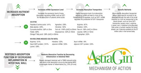 L-arginine Plus - ® – O Produto de L-arginina Mais Eficaz do Mercado com 5110mg de L-arginina | Marca em Destaque