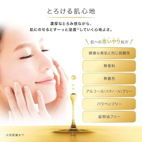 Hada Labo - Hadalabo Japan Skin Institute Gokujun Premium Solução Hialurônica 170ml (Pacote com 2)