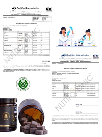 NutroTonic LLC - Gummies Orgânicos de SHILAJIT da NutroTonic | Sabor Óleo de Romã Orgânico | Sem Açúcar de Cana, Adoçado com Mel de Manuka Orgânico | Fórmula Limpa | Coração