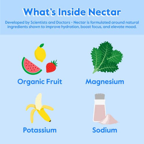 Nectar - Pacotes de Hidratação Nectar – Sachês de Pó de Eletrólitos – Sem Açúcar – Marca