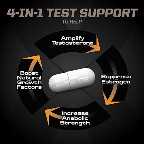Sports Methyl Andro com DHEA Amplifica Testosterona para Crescimento Muscular Magro e Ganho de Força – Desempenho em Levantamento de Peso e Treino – Suplemento Alimentar (90 Cápsulas Vegetarianas) - PMD