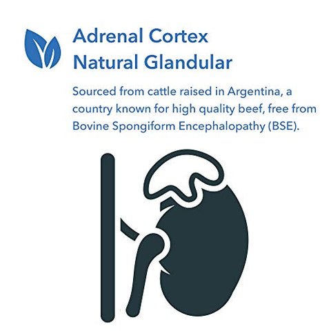 Suporte para Córtex Adrenal, Função Imunológica, Extrato Adrenal 100mg, Bovino – 100 Cápsulas - Allergy Research Group