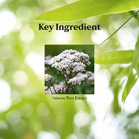 Nature's Sunshine - Nature’s Sunshine Valerian Root 100 Cápsulas | Suplemento Herbal Promove Relaxamento, Suporta o Sono e Oferece Suporte Natural ao Sistema Nervoso