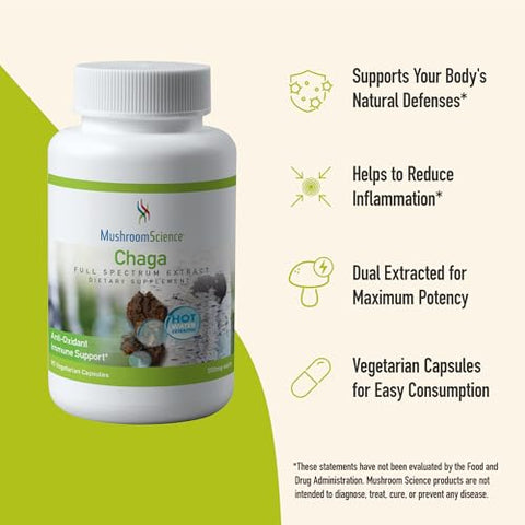 Mushroom Science - Cápsulas de Cogumelo Chaga MushroomScience, Extrato de Espectro Completo, Suplemento Natural Antioxidante para Adultos, Suporte à Saúde, Cogumelos Extraídos em Água Quente, Vegetariano, 60g