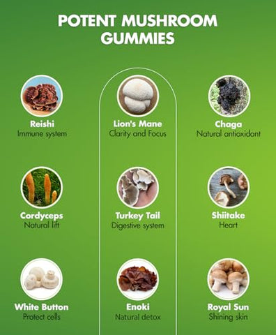 Gomas de Cogumelo – Gomas de Leão para Adultos com Complexo de 10 Cogumelos Reishi, Chaga, Cordyceps, Turkey Tail – 60g - BIO VITALICA