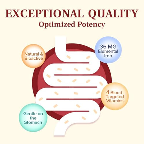 NatureMyst - Suplemento Gentle Iron para Mulheres e Homens com Vitamina C, Folate, B6