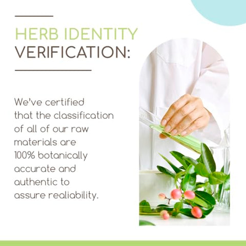 HerbEra - Gotu Kola B120 Tintura Orgânica USDA | Extrato Livre de Álcool, Gotas de Ervas de Alta Potência | Centella Asiática Certificada Orgânica (4 oz)