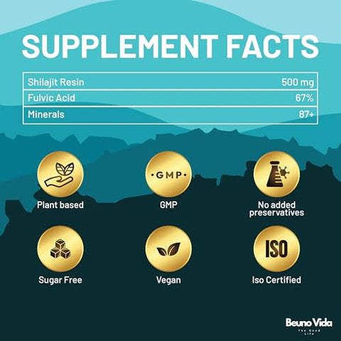 BEUNO VIDA - Resina Orgânica de Shilajit do Himalaia Puro – 87 Minerais Traços, 67% Ácido Fúlvico, Não-OGM, Vegano – Aumenta Energia, Vitalidade, Desempenho
