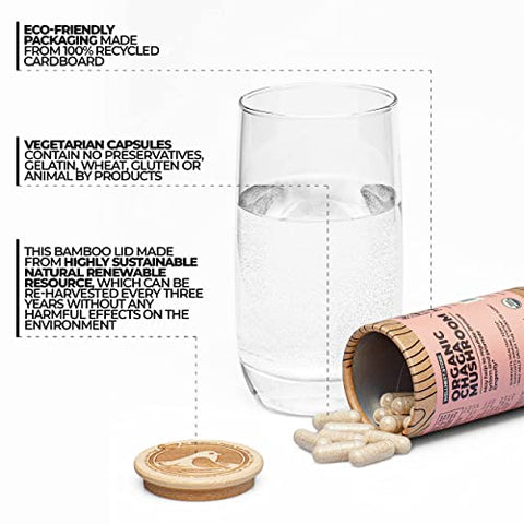 Wellnest.Store - Chaga Mushroom Organic Supplement (Extrato de Inonotus) 60 Cápsulas Vegetais – Combate Inflamação e Apoia a Saúde das Articulações. Suporte Imunológico; Melhora a Função Cognitiva