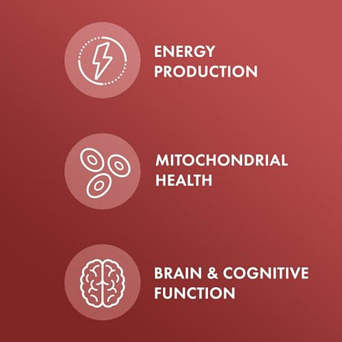 Carnitine Complex – 30 Porções (60 Cápsulas) – Suplemento Alimentar 1000 mg por Porção – Suporte à Saúde Imunológica – Não-OGM - Dr. Mercola