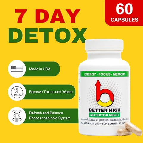 ODii - Cleanse Detox Refresh 900mg | 7 Dias de Desintoxicação | 6 Ingredientes Poderosos: Raiz de Gengibre, Semente de Chia, Linhaça, Cravo, Matcha Echinacea | Cápsulas Detox para Corpo Inteiro | Homens e Mulheres | Receptor