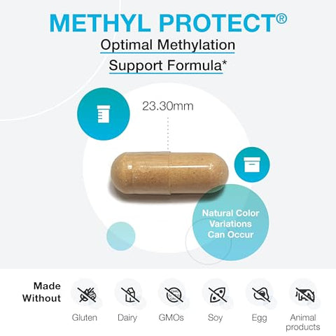 Methyl Protect – Fórmula de Metilação Ótima com Methyl Folate, Vitamina B12 (Methylcobalamin b12), Riboflavina B6 – Cognitivo, Saúde do Coração, Vitamina B12 em Português - XYMOGEN