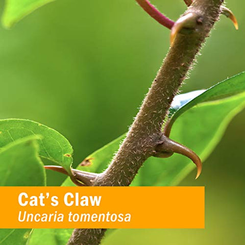 Extrato de UNA de Gato para Suporte ao Sistema Imunológico – 120 ml - Herb Pharm