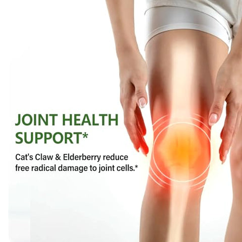 Eubrition - Gotas líquidas de suporte imunológico de unha de gato com mistura de equinácea, cogumelo do leão e reishi – 100ml