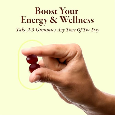 Bodi Wellness - Gummies Veganos Sem Açúcar com 85 Minerais Traços – Pure Himalayan Shilajit 1500mg – 270 Gummies (ML/G)