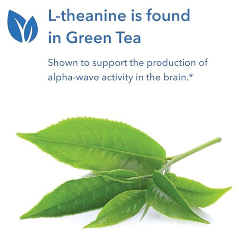 200mg of Zen – GABA, L-Theanine, Suporte para Calma, Dia ou Noite, Cápsulas Vegetarianas – 120 Unidades - Allergy Research Group