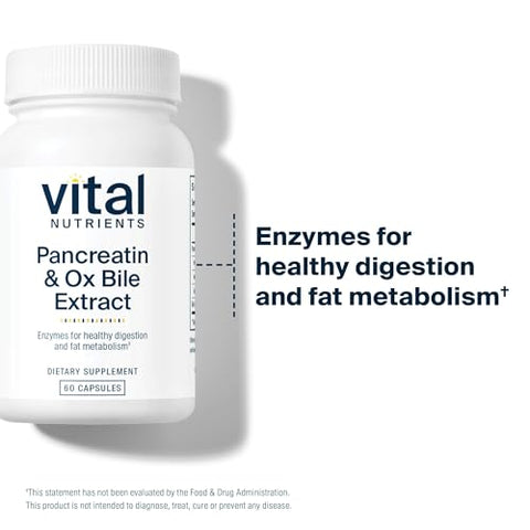 Pancreatin – Enzima Digestiva de Alta Qualidade - Vital Nutrients