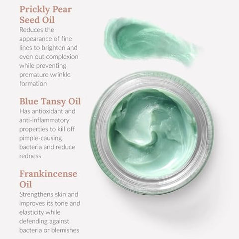 Cactus Concentrate Mini – Hidratante Facial com Ingredientes Orgânicos  BambuEarth - BambuEarth