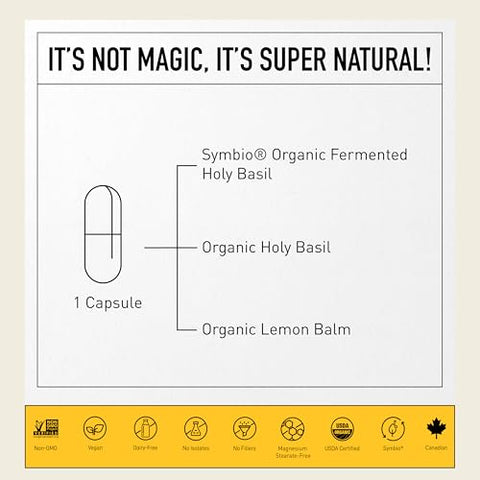 Fermentado de Manjericão Sagrado – 60g - Living Alchemy