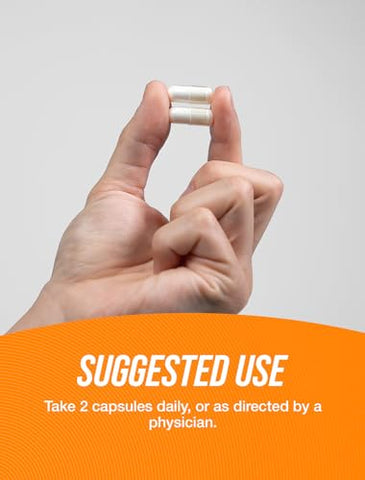 com Agmatine Sulfate Capsules – Suplemento de Óxido Nítrico, Agmatine Sulfate 1000mg – Livre de Glúten, 2 Cápsulas por Porção, 180 Cápsulas (Pacote de 1) - BulkSupplements