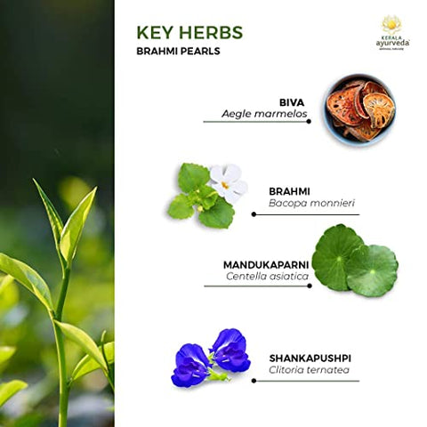 Brahmi Pearls – Bem-estar Mental Completo | Relaxamento Cerebral | Mente Afiada | Suporte à Memória - Kerala Ayurveda