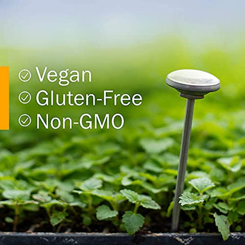 Fórmula Herbal Líquida para Saúde das Veias – Suporte ao Sistema Cardiovascular e Circulatório – 120 ml - Herb Pharm