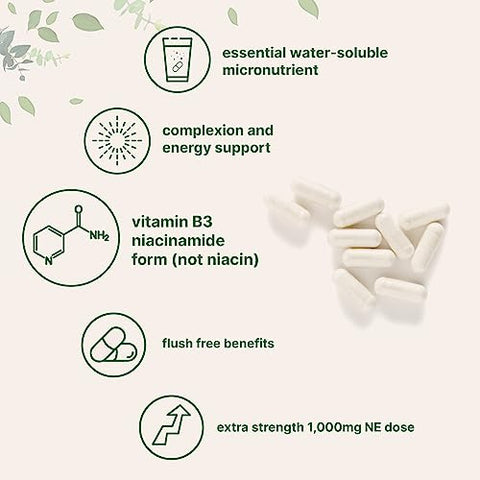 Micro Ingredients - Vitamina B3 Niacinamida 500mg por Cápsula, 400 Cápsulas | 1.000mg Niacina Livre de Rubor por Porção, Suplemento Essencial de Vitamina B | Cuidados com a Pele e Saúde