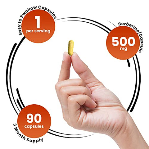 Genex Formulas - GENEX Berberine HCl 500mg (3-Pack) | Ativador AMPK Poderoso, Suporte à Saúde Cardíaca e Imunológica – Não-OGM, Sem Glúten, Vegetariano