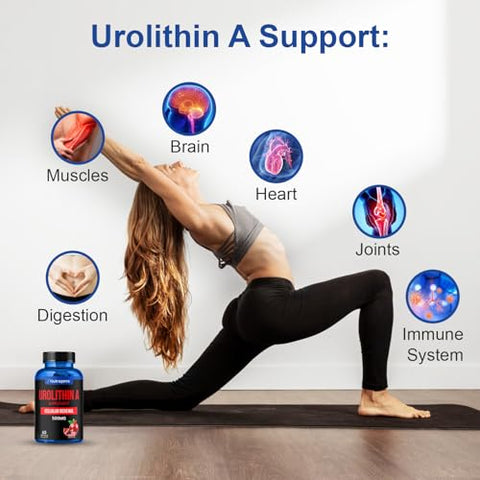 Nutragenis - Urolithin A – Suplemento 60 Softgel – Renovação Celular Avançada – Marca Urolithin A