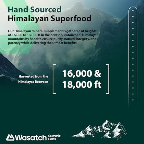 Wasatch Summit Labs - Resina Pura de Shilajit Orgânico | Autêntico Ouro Himalaia Grau Colhido a 16.000-18.000 pés | 100% Puro Não Filtrado | 85 Minerais Traços e Ácido Fúlvico para Energia e Suporte Imunológico