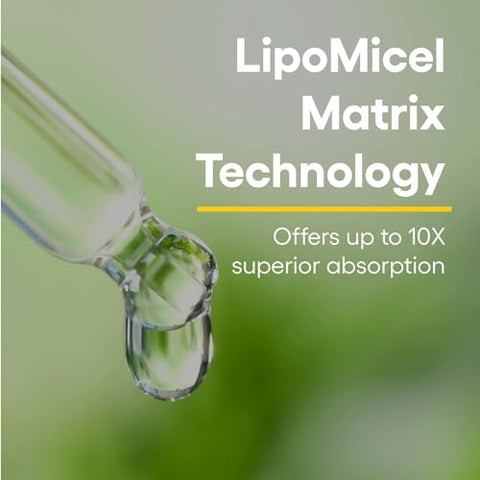 Quercetin LipoMicel Matrix – 120 Softgels | Absorção Superior | Marca Natural Factors - Natural Factors