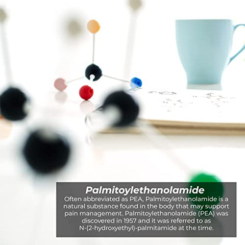 Cápsulas de Palmitoiletanolamida | PEA | 400mg | 60 Unidades | Suporte ao Controle da Dor | Estimula Respostas Inflamatórias Saudáveis - Nootropics Depot