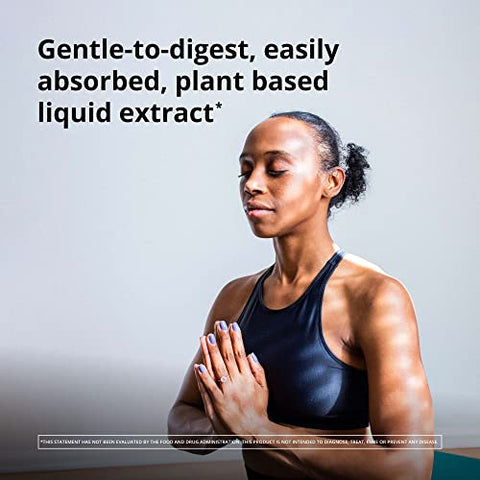 Floravital Ferro Líquido – Fórmula Rica em Ferro para Energia e Vitalidade – 250ml - Floradix