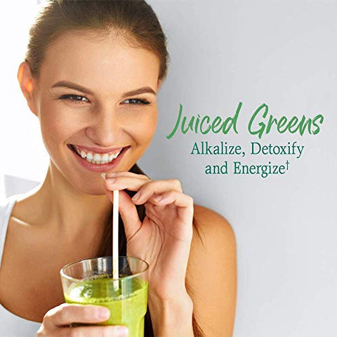 Raw Organic Perfect Food – Pó de Verdes Superfood Juiced – Original Sem Stevia – 454g - Garden of Life