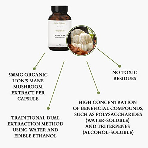 Wise Plants - Suplemento de Cogumelo do Leão – Extrato Duplo, Corpo Frutífero Puro, 30% Polissacarídeos – 500 mg, 120 cápsulas vegetais (Fornecimento de 60 dias). Suporte para Função Cerebral e Digestão Saudável