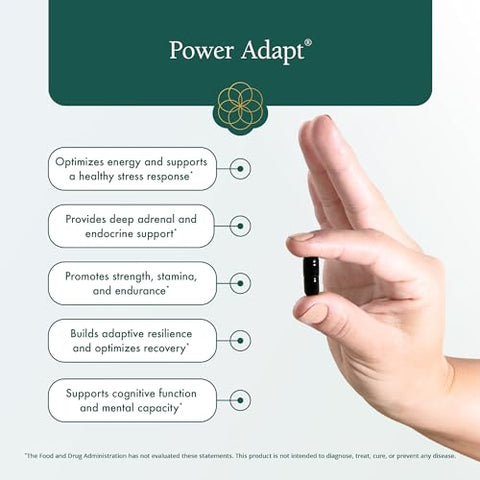 Power Adapt – Suporte Profundo para Adrenais e Sistema Endócrino – Com Ashwagandha, Ginseng, Rhodiola Rosea e Cordyceps (60 cápsulas) - Natura Health Products