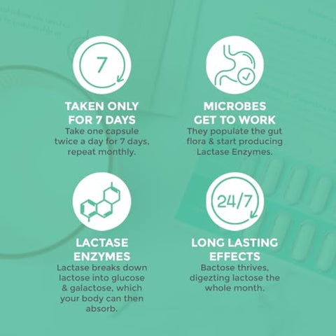 BACTOSE - Pílulas de Lactase Probióticas para Alívio Duradouro – Desfrute novamente dos laticínios – Suplemento para Intolerância à Lactose – Produza Enzimas Lactase no Intestino – Naturalmente quebre a Lactose (Tomar por 7…)
