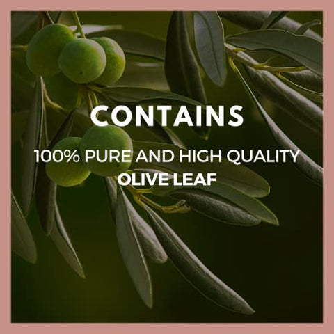 Remedy's nutrition - Remedy’s Nutrition – Cápsulas Veganas de Folha de Oliveira (Olea Europea) 1.000mg – Sem OGM, Sem Glúten, Sem Laticínios – Suplemento Herbal – Fornecimento de Dois Meses (60 Unidades)